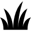 area image